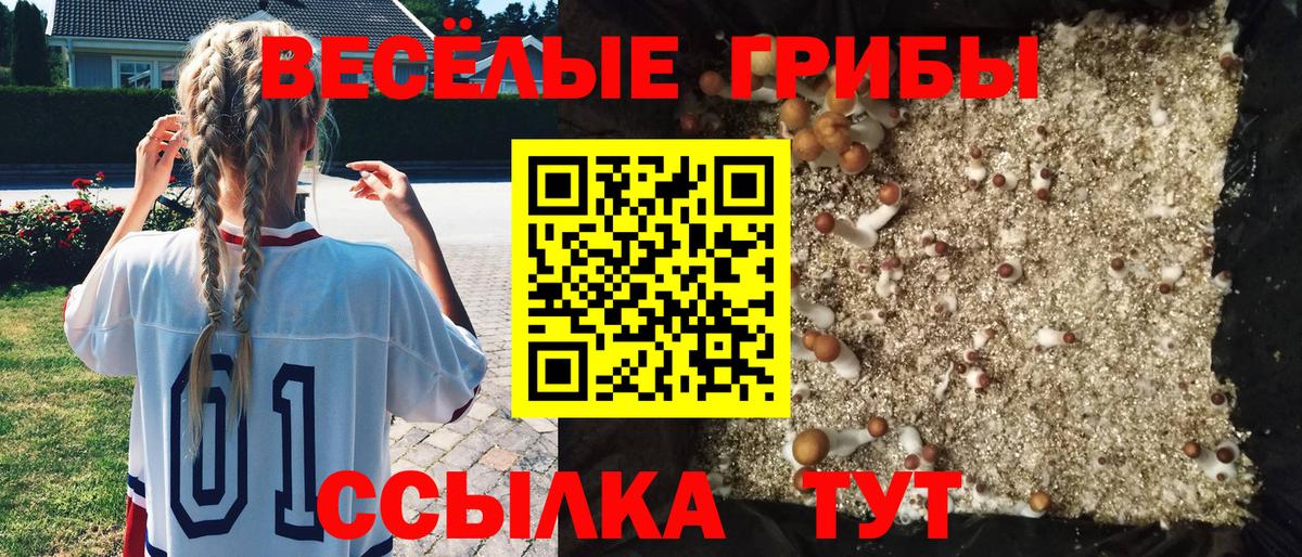 Псилоцибиновые грибы ЛСД Коркино